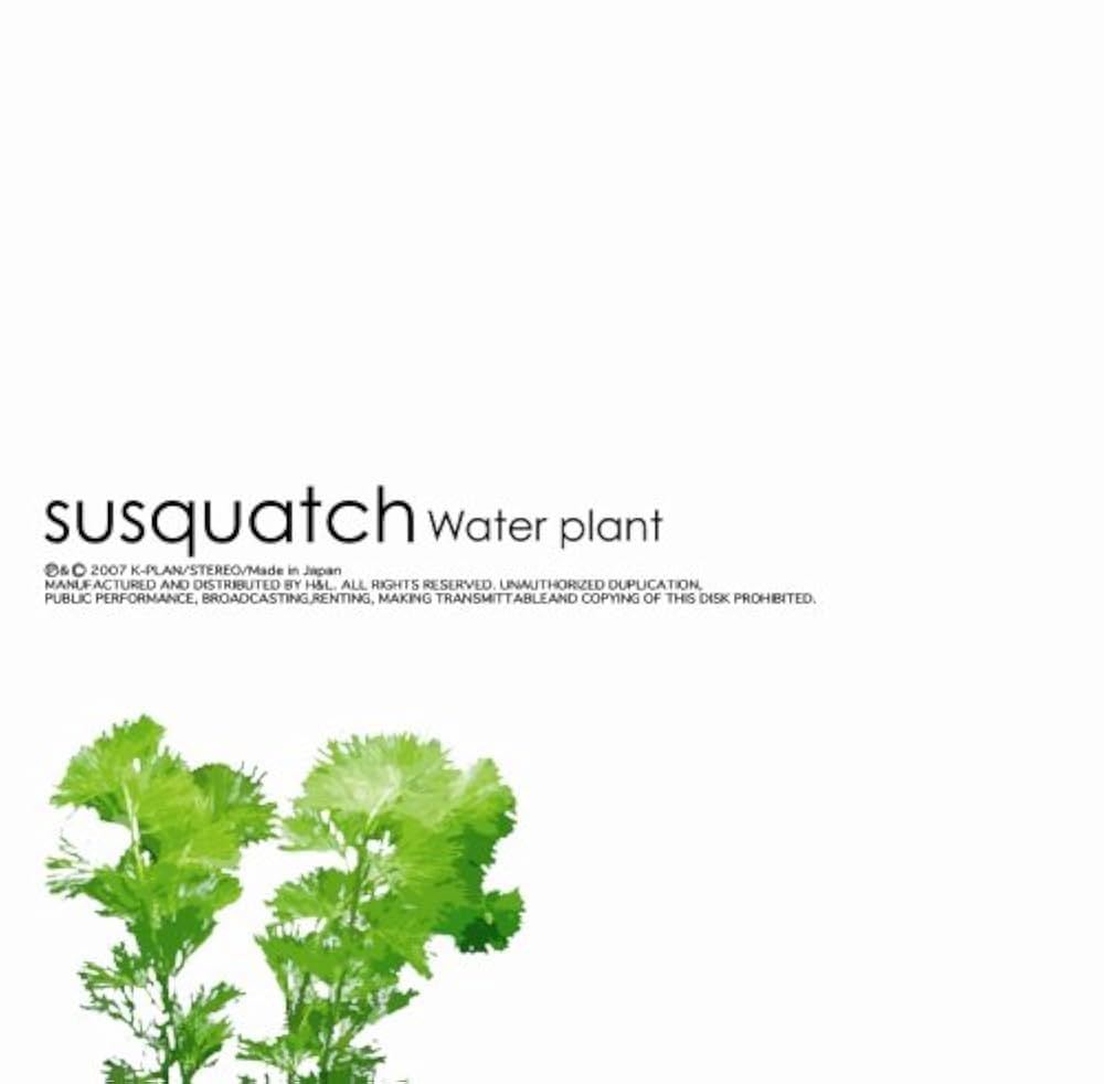 susquatch - Water plant